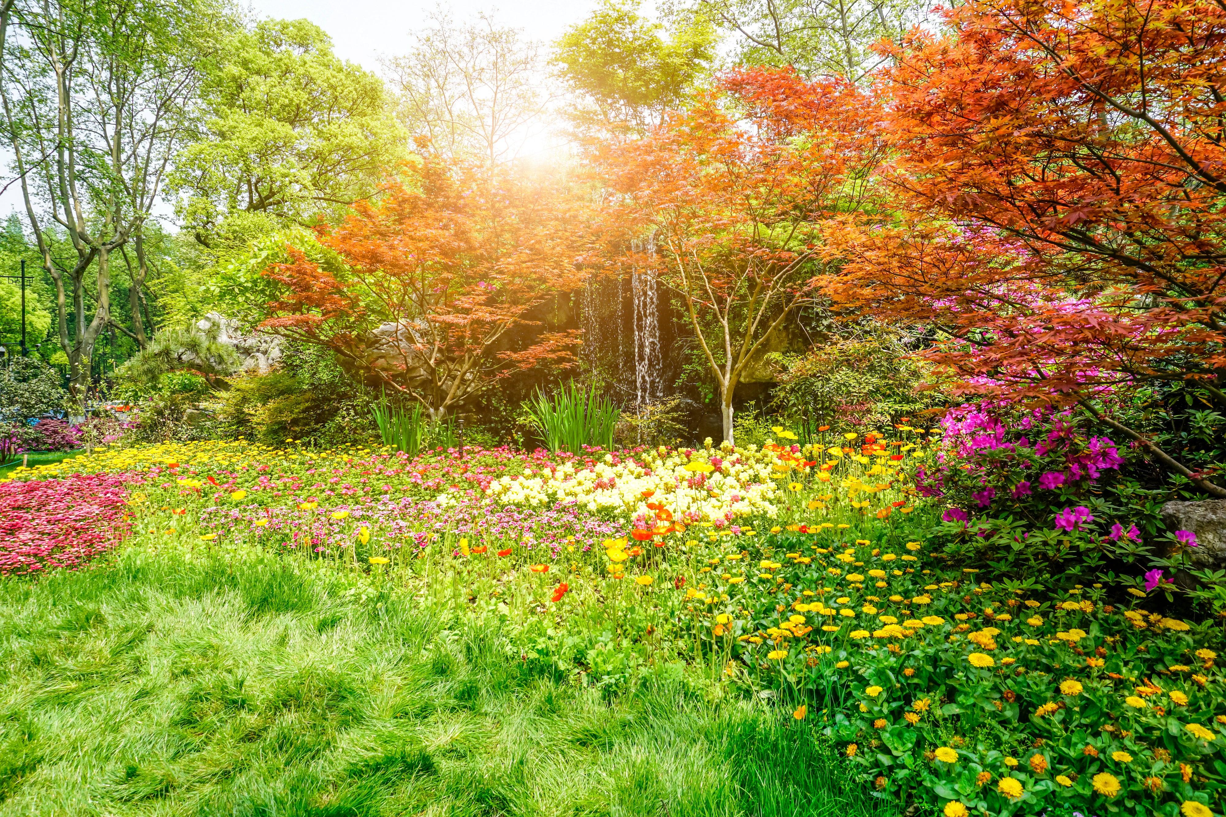 Essential Spring Gardening - SnapFresh