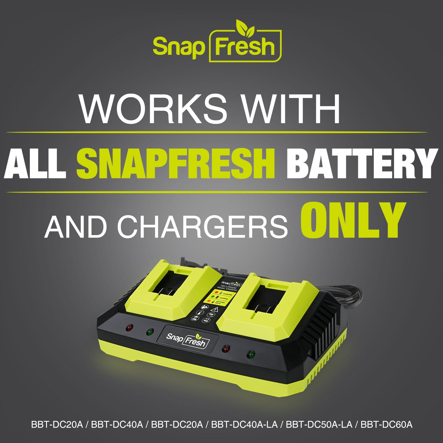 2 Port 20V Battery Fast Charger (CH20252)