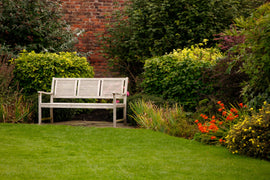 How to Use a String Trimmer?