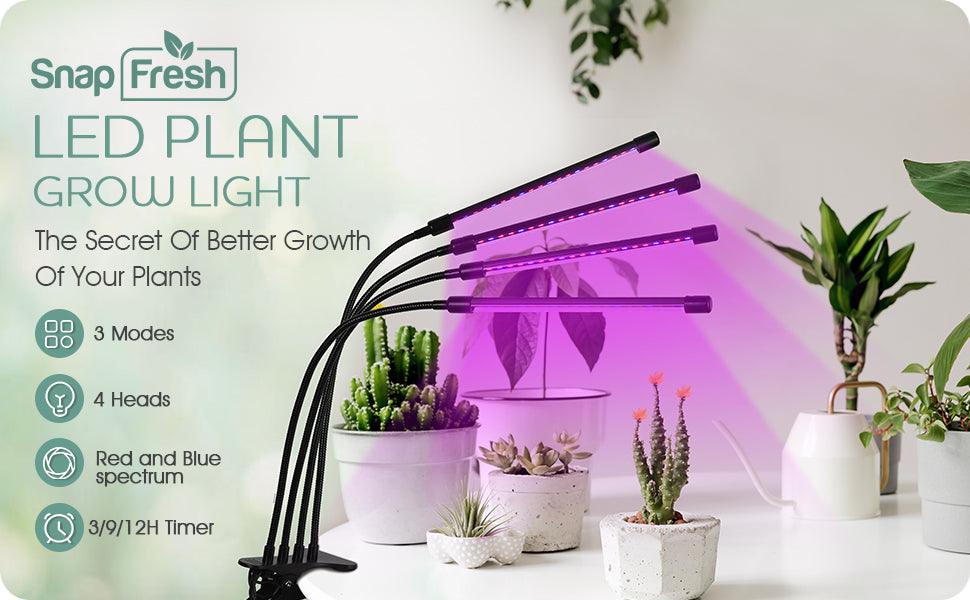 How to Use LED Grow Lights? - SnapFresh