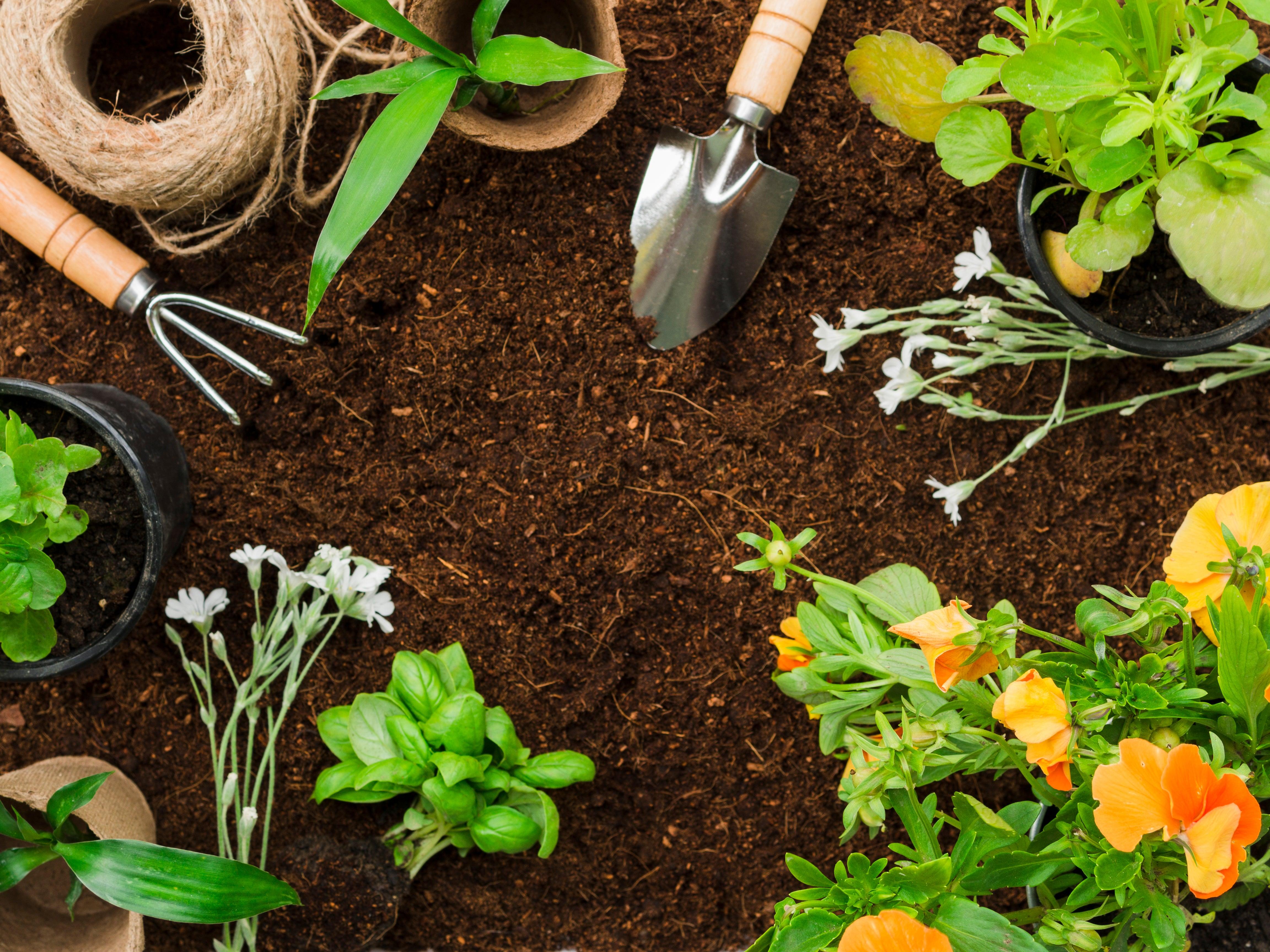 Discover the 12 Must-Have Garden Tools for Proper Garden Care ...