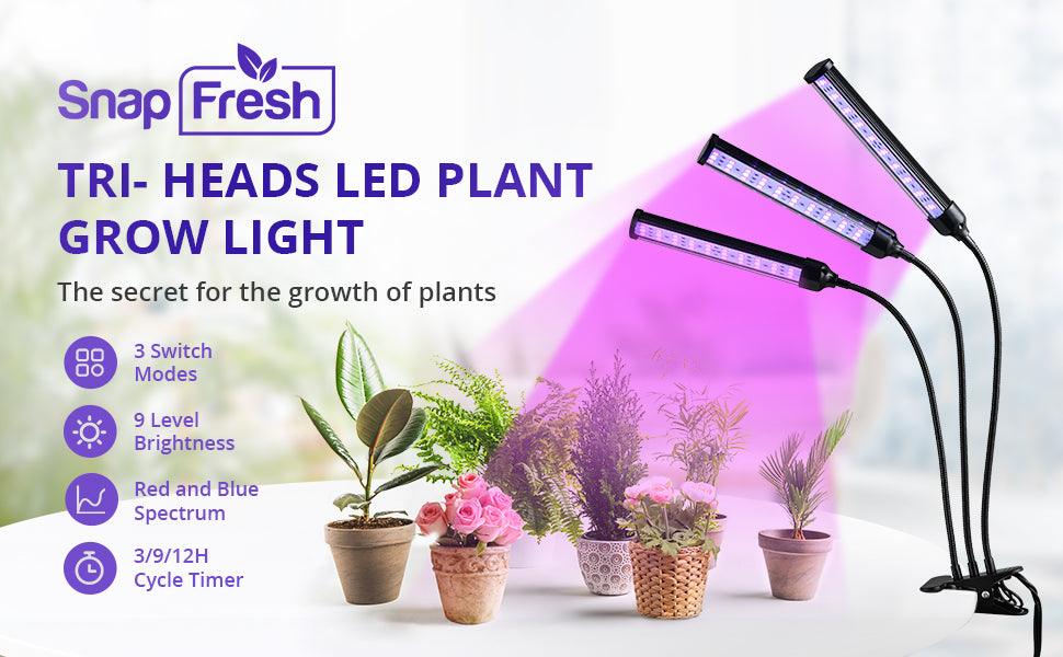 You need a LED grow light - SnapFresh