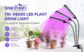You need a LED grow light