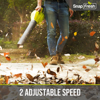 20V Max Cordless Leaf Blower(350CFM/100MPH), 4.0Ah Li-ion Battery and Charger (BBT-ZE20BW)