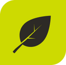Blow Leaves