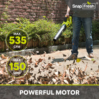SnapFresh 20V Cordless Leaf Blower(GY21860)