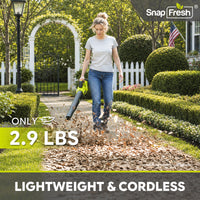 SnapFresh 20V Cordless Leaf Blower(GY21860)