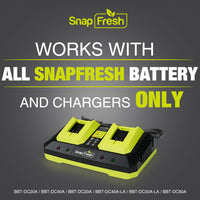 2 Port 20V Battery Fast Charger (CH20252)