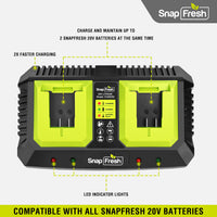 2 Port 20V Battery Fast Charger (CH20252)
