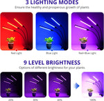 360° Grow Light for Indoor Plants(Tri-head, adaptor included) - SnapFresh
